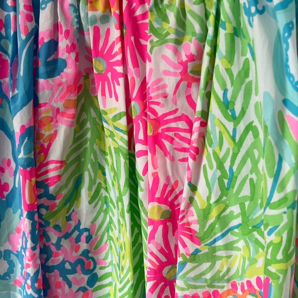 Lilly Pulitzer Dress - Picture 5 of 5